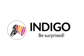Indigo Paints